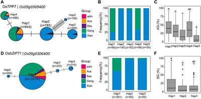 Identification of Candidate Genes for Salinity and Anaerobic Tolerance at the Germination Stage in Rice by Genome-Wide Association Analyses